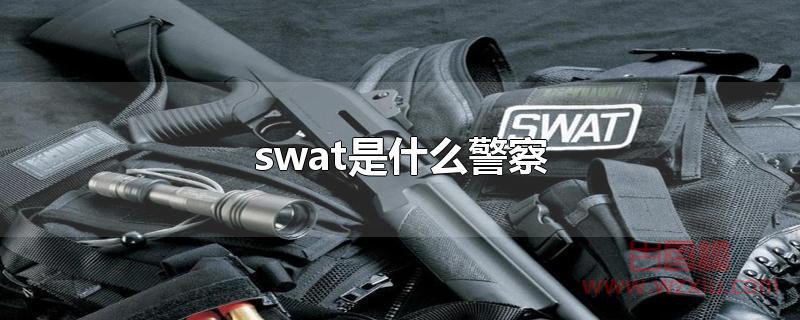 swat是什么警察？