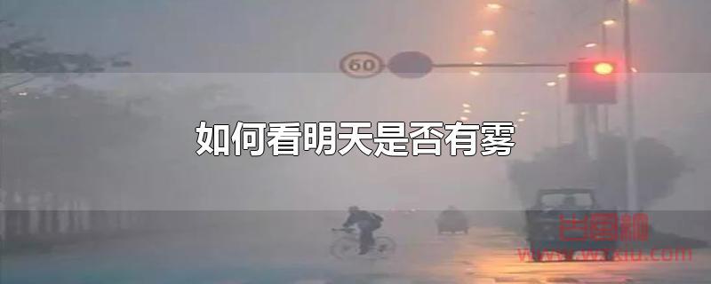 如何看明天是否有雾？