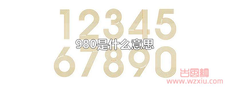 980是什么意思？