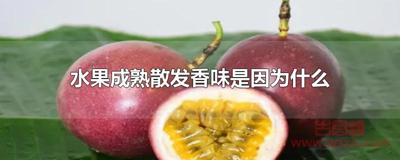 水果成熟散发香味是因为什么 水果成熟散发香味是为什么?