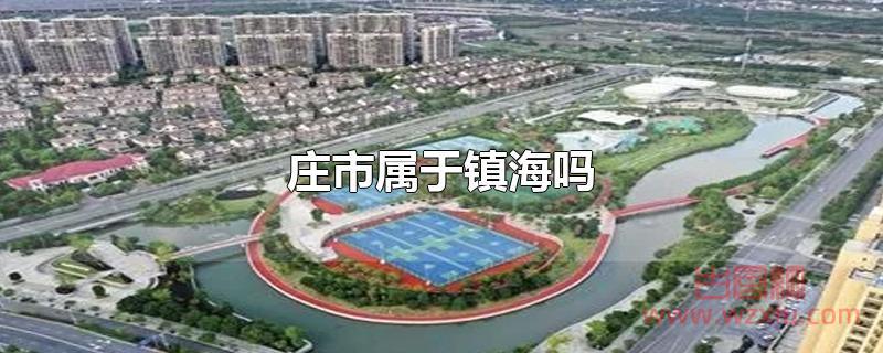 庄市属于镇海吗？