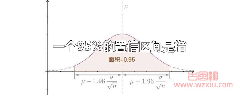 一个95%的置信区间是指什么水平？