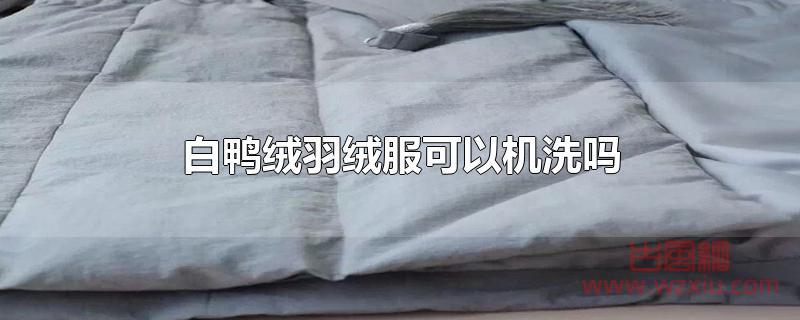 白鸭绒羽绒服可以机洗吗？