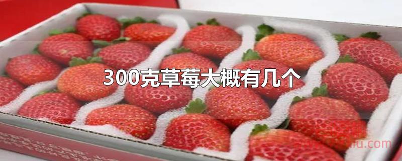 300克草莓大概有几个？