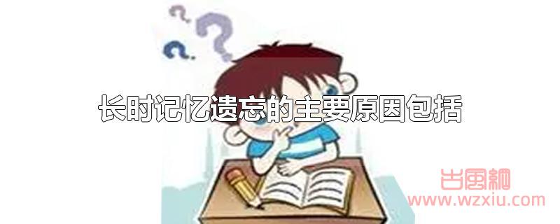 长时记忆遗忘的主要原因包括哪些?