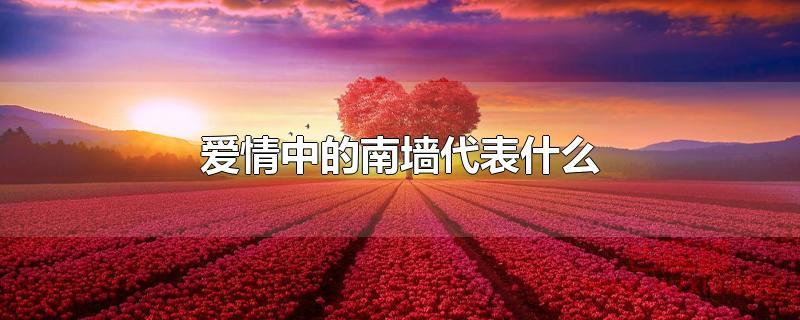 爱情中的南墙代表什么？