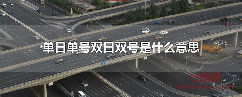 单日单号双日双号是什么意思？