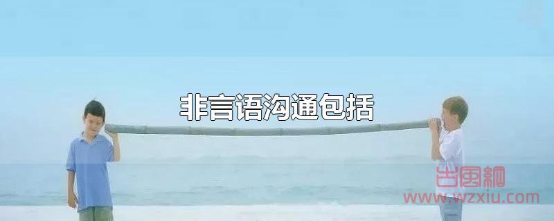 非言语沟通包括什么？