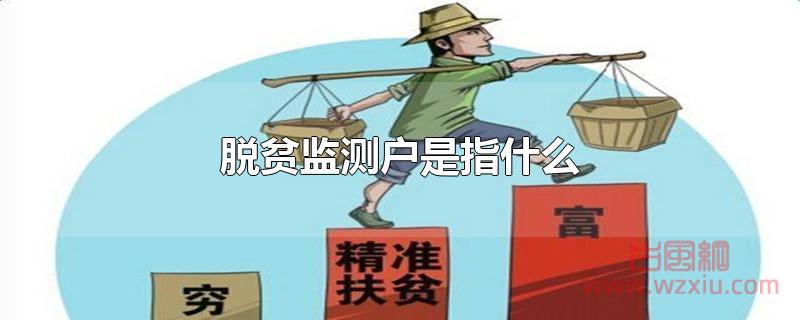 脱贫监测户是指什么？