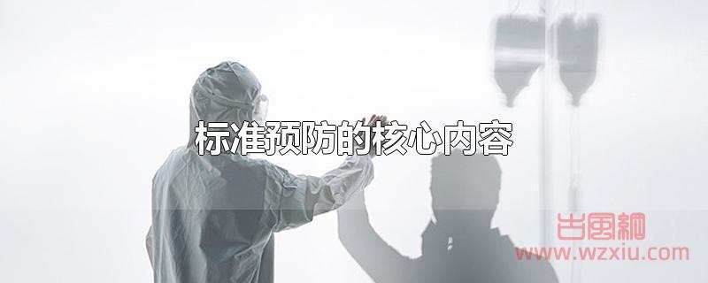 标准预防的核心内容是什么？