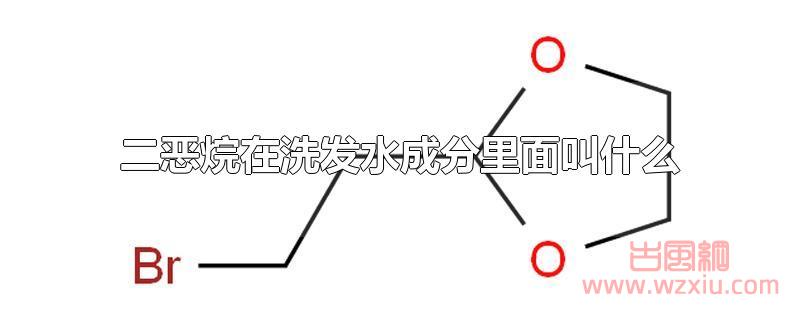 二恶烷在洗发水成分里面叫什么 二恶烷在洗发水成分里面叫什么