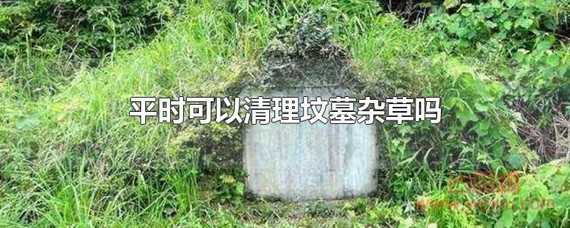 平时可以清理坟墓杂草吗?