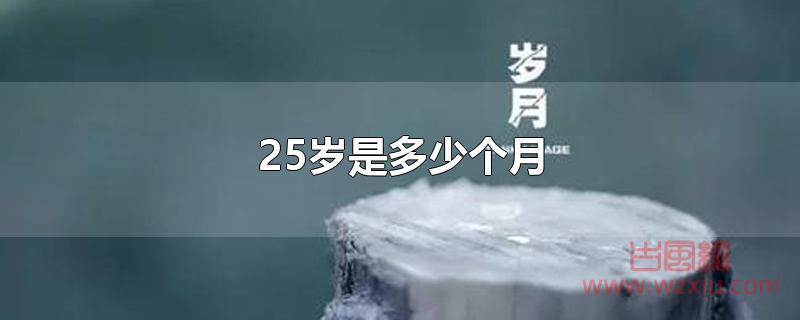 25岁是多少个月？