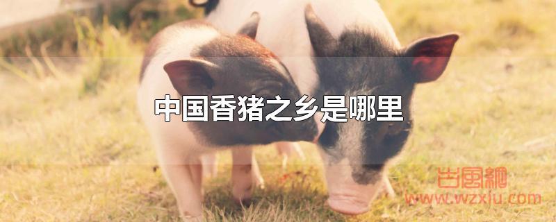 中国香猪之乡是哪里 中国香猪之乡是哪里?