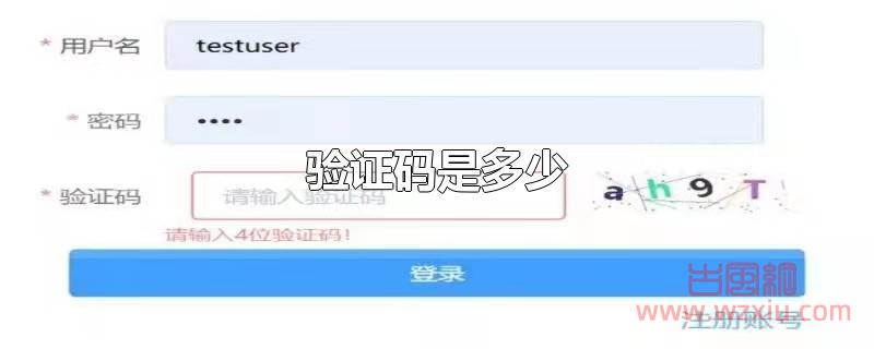 验证码是多少