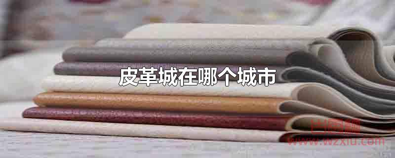 皮革城在哪个城市 皮革城在哪个城市?温州和海宁
