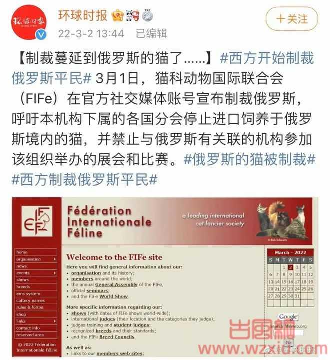 俄罗斯的猫都被制裁俄罗斯方块还能玩吗？我要笑死在网友的评论里了…