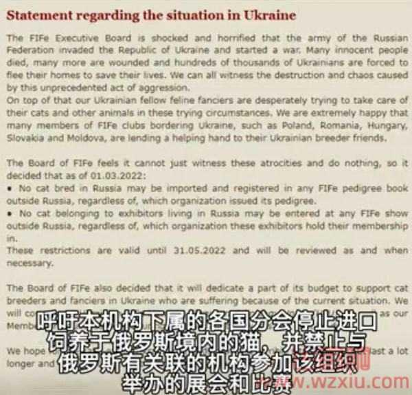 俄罗斯的猫都被制裁俄罗斯方块还能玩吗？我要笑死在网友的评论里了…