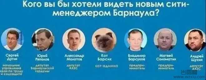 俄罗斯的猫都被制裁俄罗斯方块还能玩吗？我要笑死在网友的评论里了…