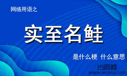 实至名鲑是什么梗？为什么有人改名叫鲑鱼？