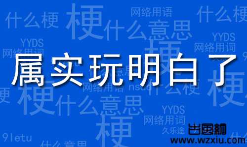 属实给你玩明白了什么意思？属实玩明白了？属实给你整明白了