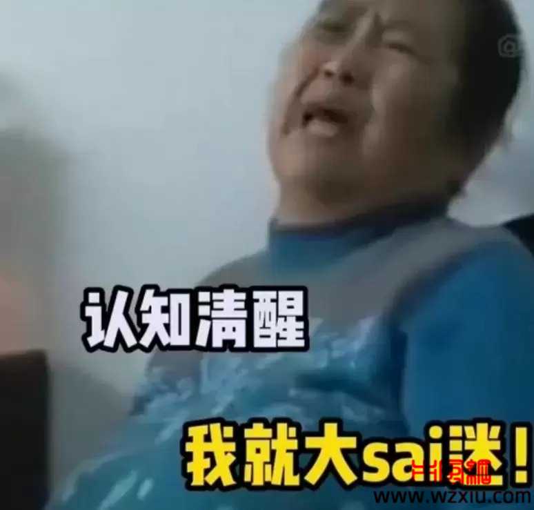 网络用语大sai迷是什么梗？有什么意思？