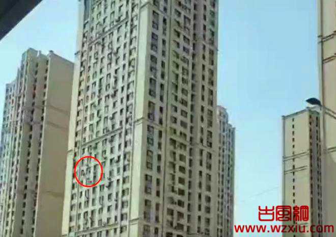 真强！黑龙江女子从12楼坠下，只摔断了一条腿！