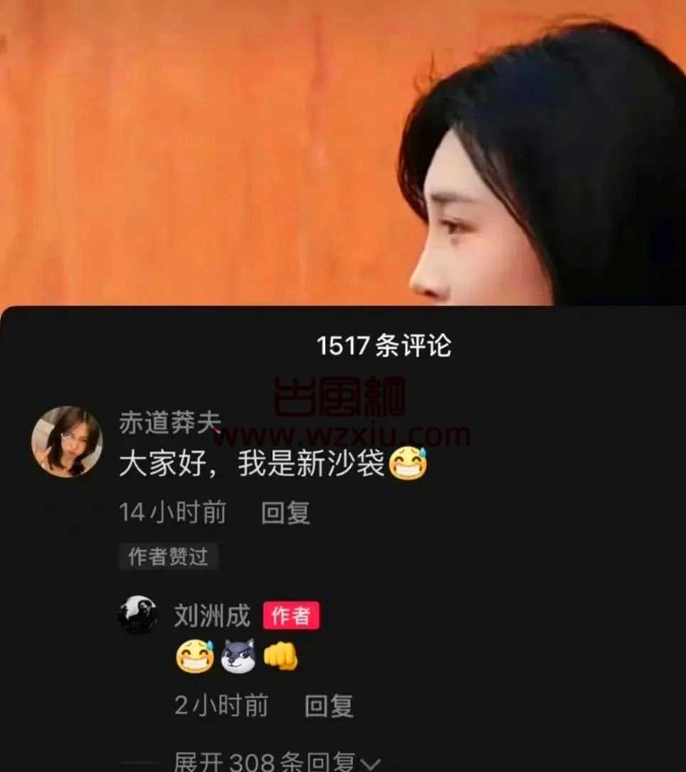 靠打女人出名的刘洲成竟然玩转家暴梗？？