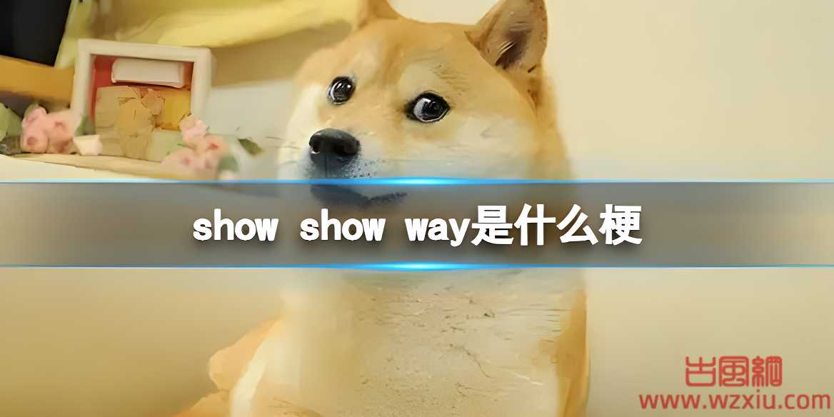 网络用语show show way是什么梗？有什么意思？