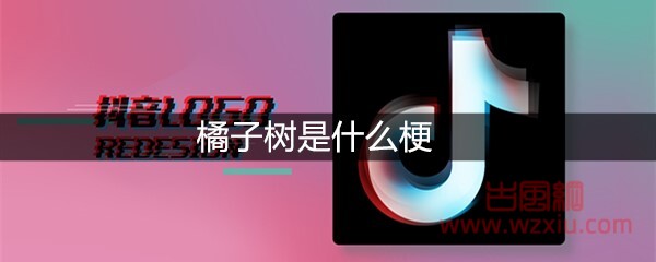 橘子树是什么梗？有什么意思？