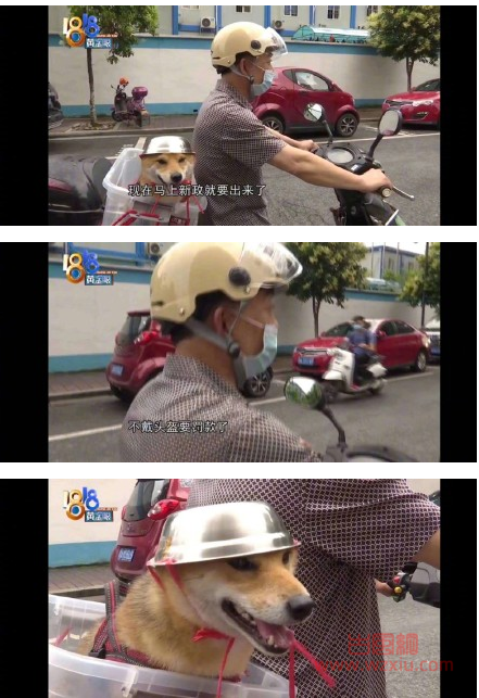 抖音略显潦草的头盔是什么梗？有什么意思？