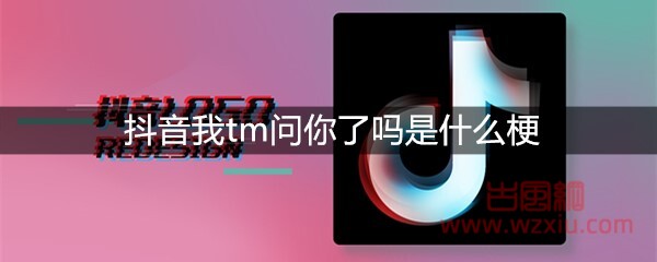 抖音我tm问你了吗是什么梗？有什么意思？