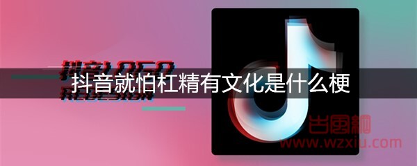 抖音就怕杠精有文化是什么梗？有什么意思？