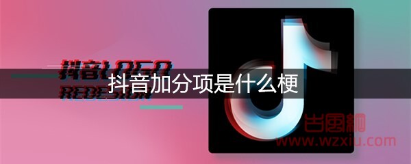 抖音加分项是什么梗？有什么意思？