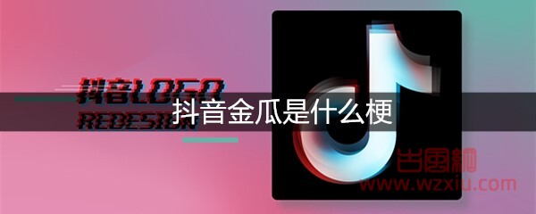 抖音金瓜是什么梗？有什么意思？