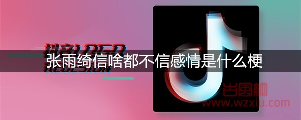 张雨绮信啥都不信感情是什么梗？有什么意思？