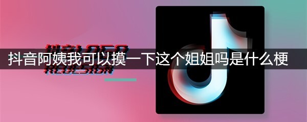 抖音阿姨我可以摸一下这个姐姐吗是什么梗？有什么意思？