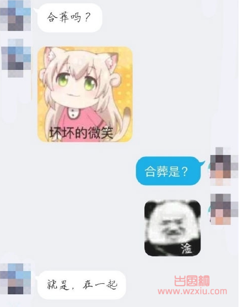 小姐姐合葬吗是什么梗？有什么意思？