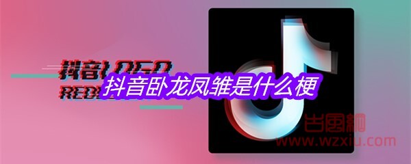 抖音卧龙凤雏是什么梗？有什么意思？