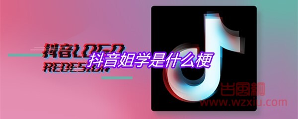 抖音姐学是什么梗？有什么意思？