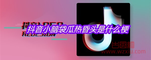 抖音小脑袋瓜热昏头是什么梗？有什么意思？