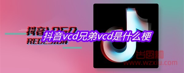 抖音vcd兄弟vcd是什么梗？有什么意思？