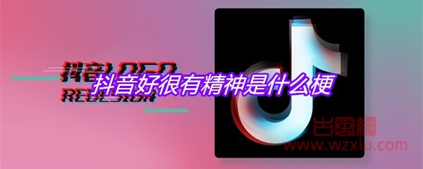 抖音好很有精神是什么梗？有什么意思？