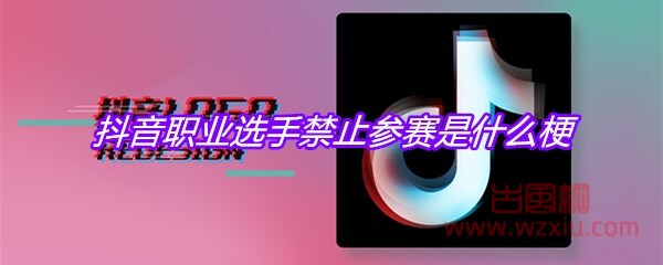 抖音职业选手禁止参赛是什么梗？有什么意思？