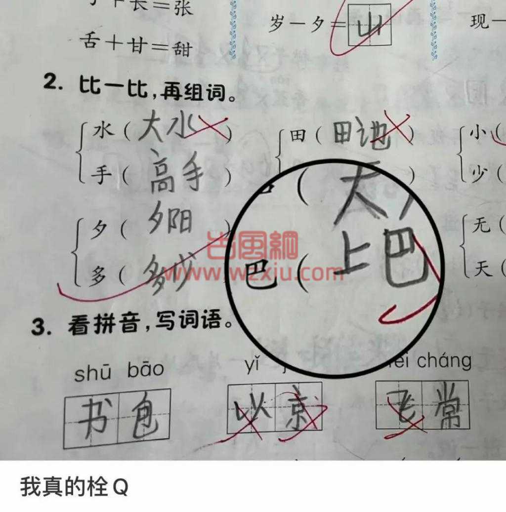 小学生把网络用语“栓 Q ”写进作文，语文老师血压飚升！