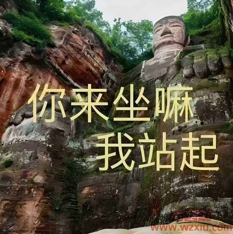 网络用语乐山大佛你来坐是什么梗？乐山大佛你来坐梗出自哪里？