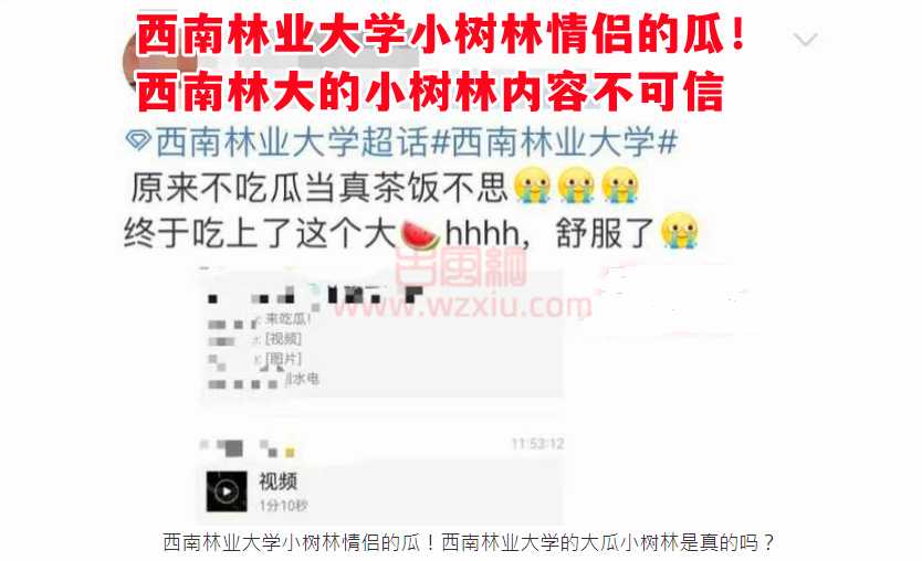 西南林业大学小树林情侣的瓜是什么梗？已证实：内容不可信！