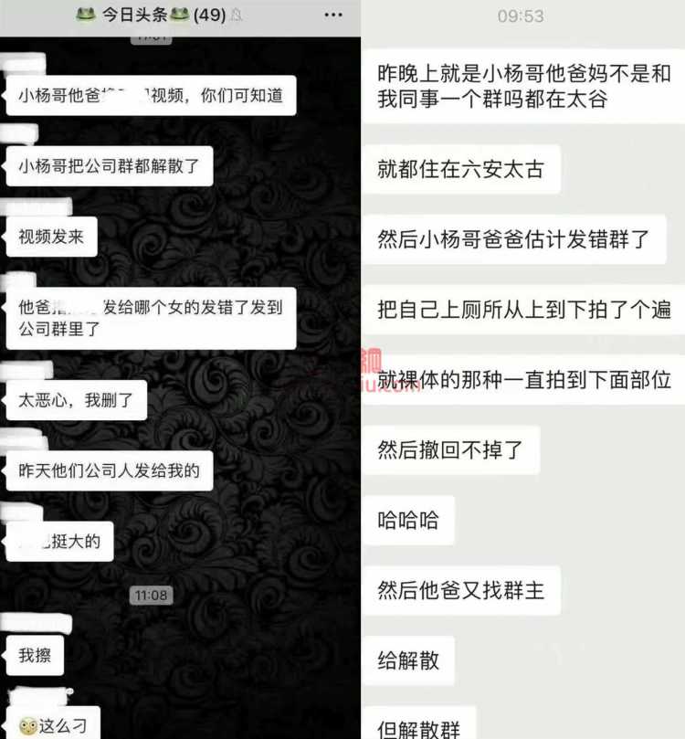 抖音小杨哥爸爸"遛鸟"事件爆火？网友：太6了！