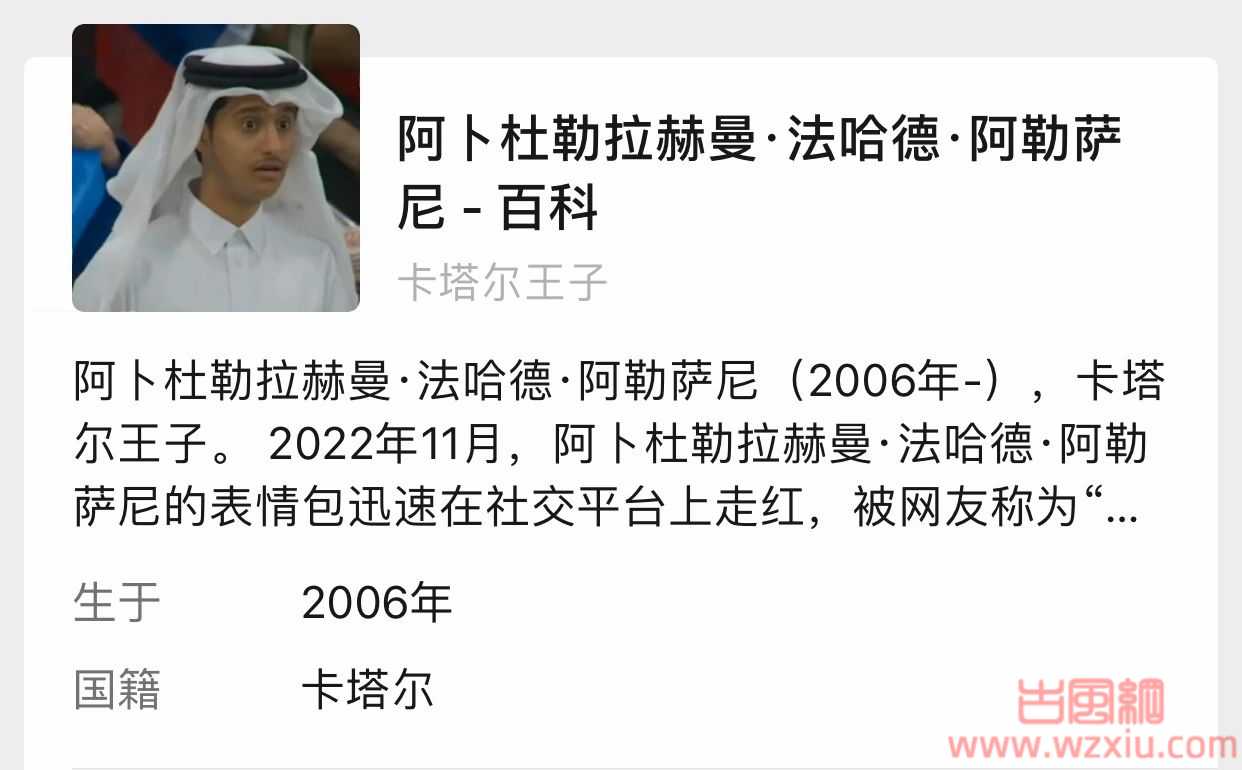 卡塔尔王子疑似跨国割韭菜身份造假塌房？是包装出来的网红而非王子！