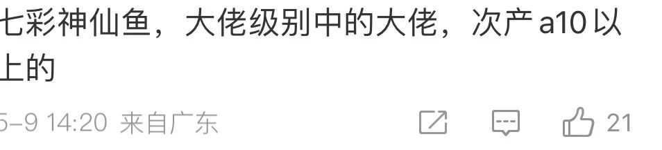 巴厘岛遇害情侣被质疑是自杀？网传虚拟货币可能是被害导火索？